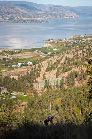 bcbr-stenberg-print-CKS02497