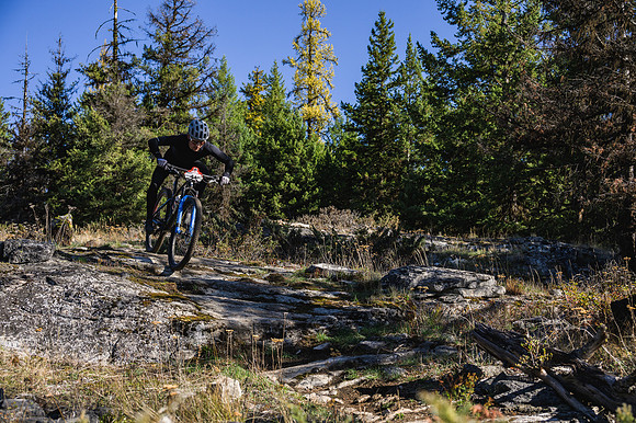 BCBR21_6_0431_DS