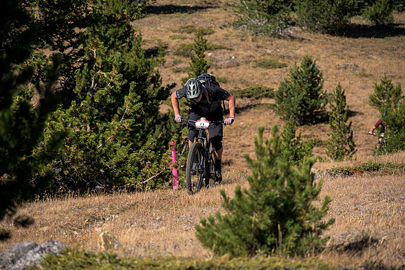 BCBR22_5_0327_DS