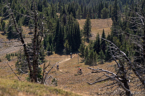 BCBR22_5_0377_DS