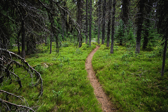 BCBR21_3_0208_DS