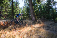 BCBR21_4_0503_DS