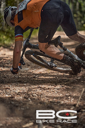 BCBR2024_Day1_DM 71