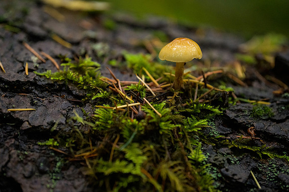 DS_211024_108