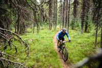 BCBR21_3_0217_DS
