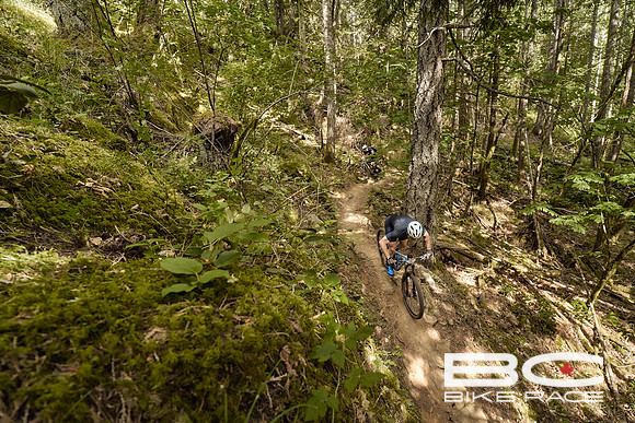 BCBR2024_Day1_DM 39