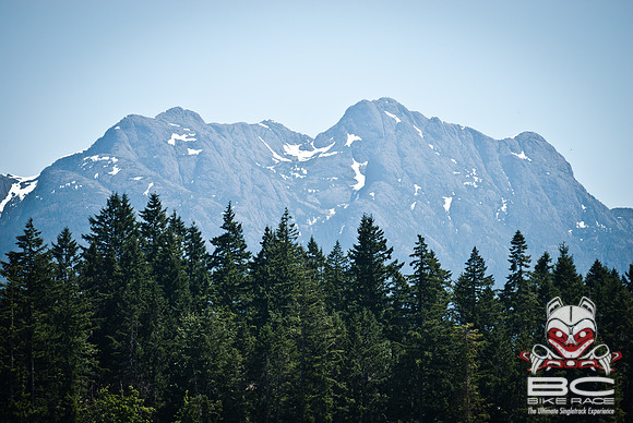 DS_BCBR08_2_0313