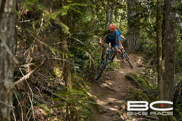BCBR2024_Day1_DM 42