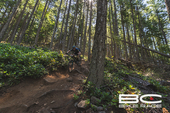 BCBR2024_Day3_JK-03967
