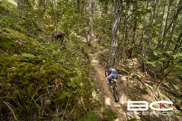 BCBR2024_Day1_DM 38