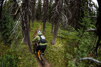 BCBR21_3_0239_DS
