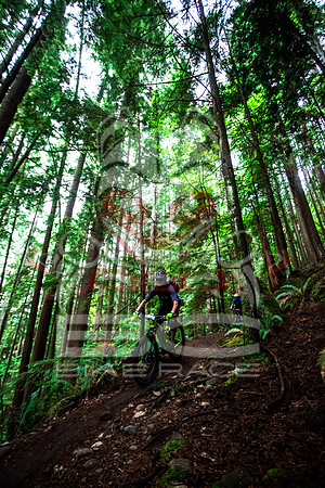 BCBR14_TW_Day01_0325