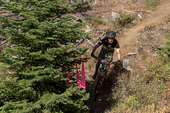 BCBR22_4_0066_DS