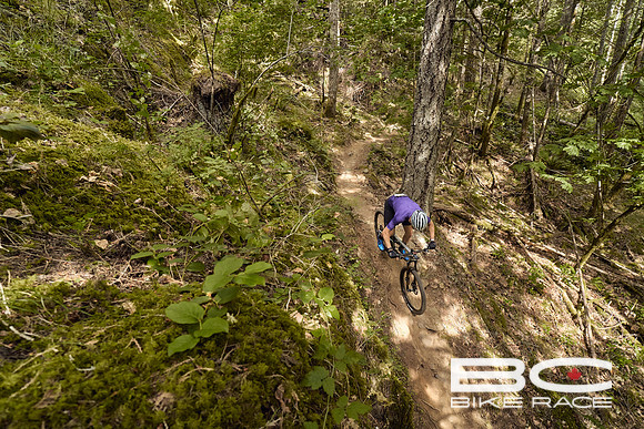 BCBR2024_Day1_DM 36