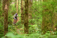 BCBR25_6_0117_DS