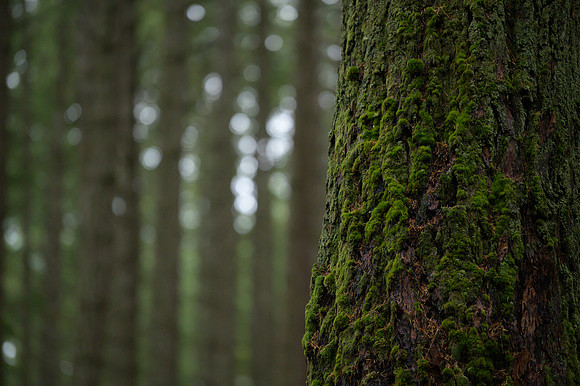 DS_211024_102