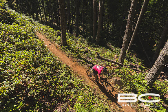 BCBR2024_Day3_JK-04546