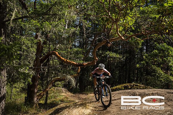 BCBR2024_Day1_SK-19