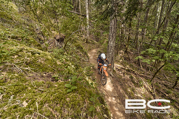 BCBR2024_Day1_DM 34