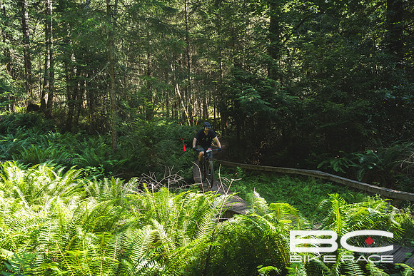 BCBR2024_Day2_JK-02862