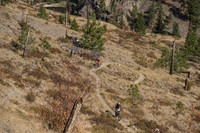 BCBR21_5_0078_DS