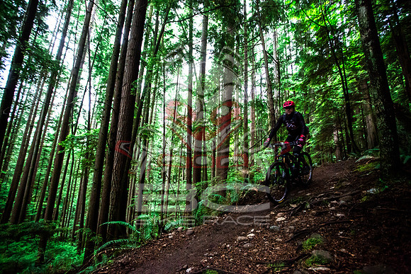 BCBR14_TW_Day01_0393