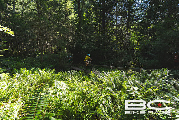 BCBR2024_Day2_JK-02856