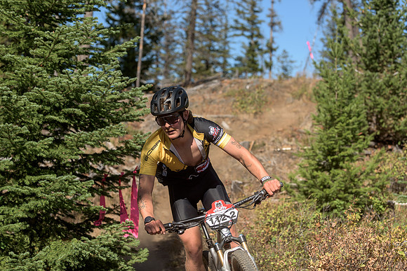 BCBR22_4_0071_DS