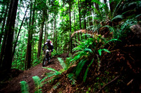 BCBR14_TW_Day01_0230