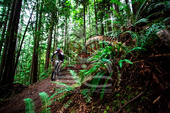 BCBR14_TW_Day01_0230