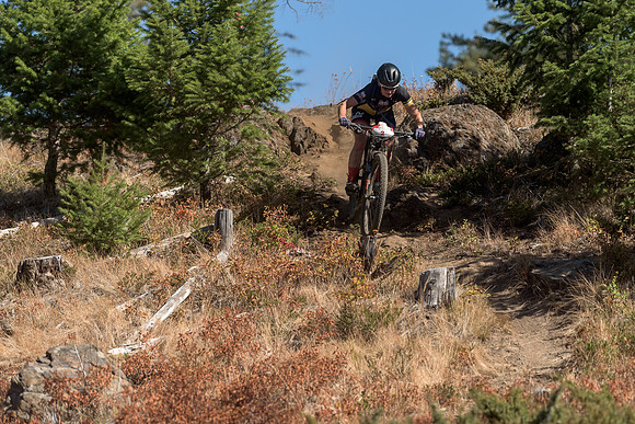 BCBR22_4_0074_DS