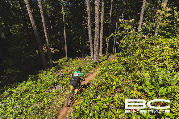BCBR2024_Day3_JK-04568