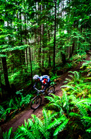 BCBR14_TW_Day01_0407