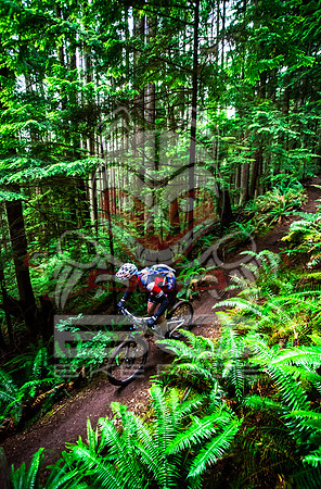 BCBR14_TW_Day01_0407