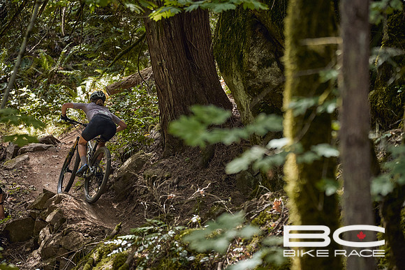 BCBR2024_Day1_DM 57