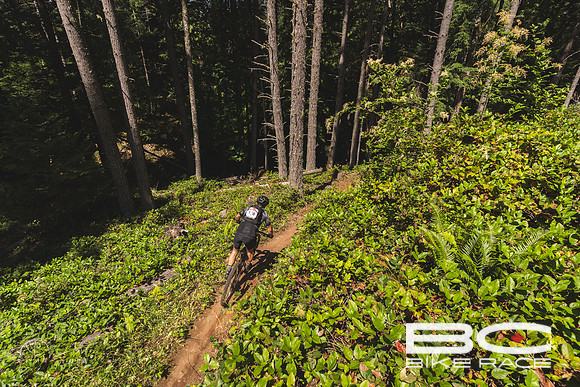 BCBR2024_Day3_JK-04573