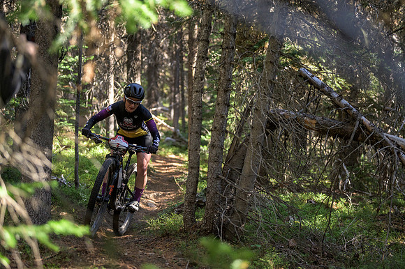 BCBR22_5_0075_DS