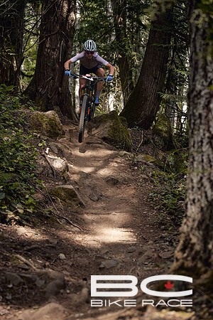 BCBR2024_Day1_DM 55
