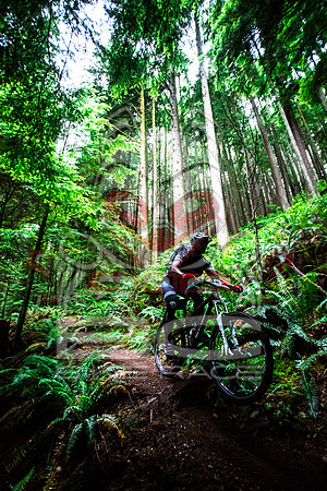 BCBR14_TW_Day01_0438