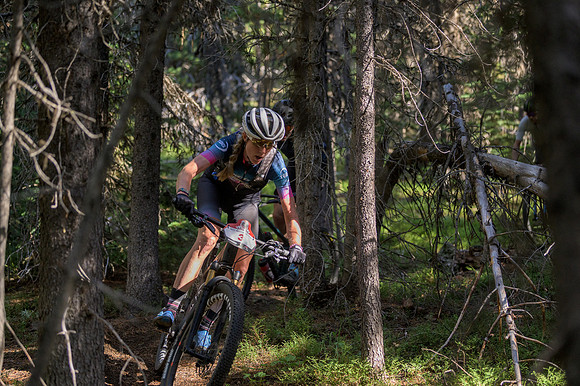 BCBR22_5_0090_DS