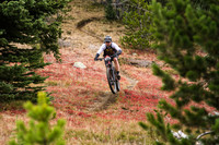 BCBR21_3_0189_DS