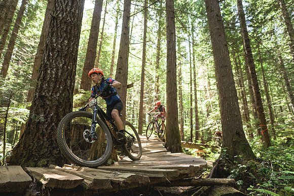 BCBR25_5_0708_DS-2