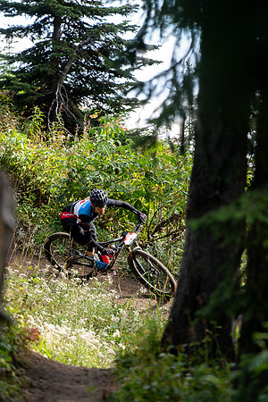 BCBR22_3_CKS02122_CS
