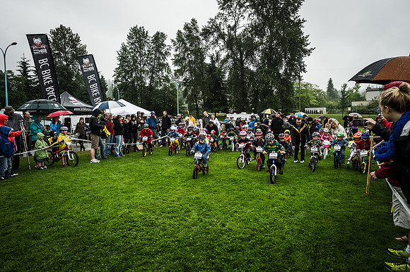 DS_BCBR0_103906-2