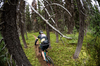 BCBR21_3_0225_DS