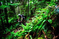 BCBR14_TW_Day01_0412