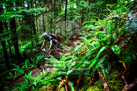 BCBR14_TW_Day01_0412