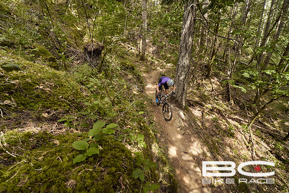 BCBR2024_Day1_DM 35