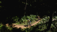 BCBR25_1_0032_DS
