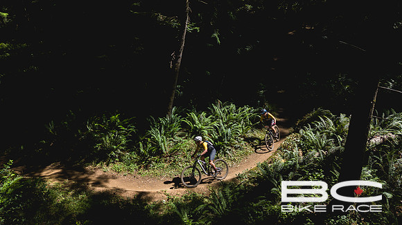 BCBR25_1_0032_DS